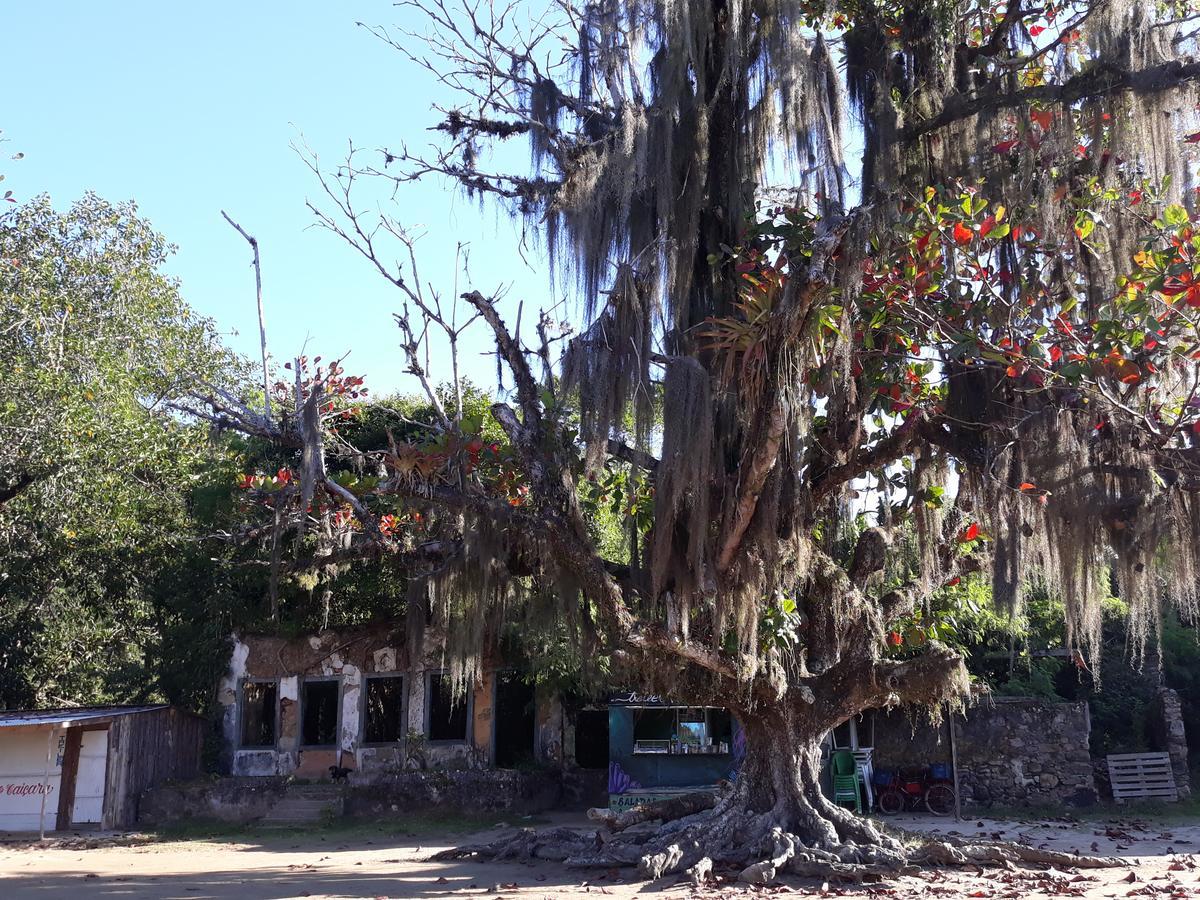Live Hostel Paraty Exterior photo